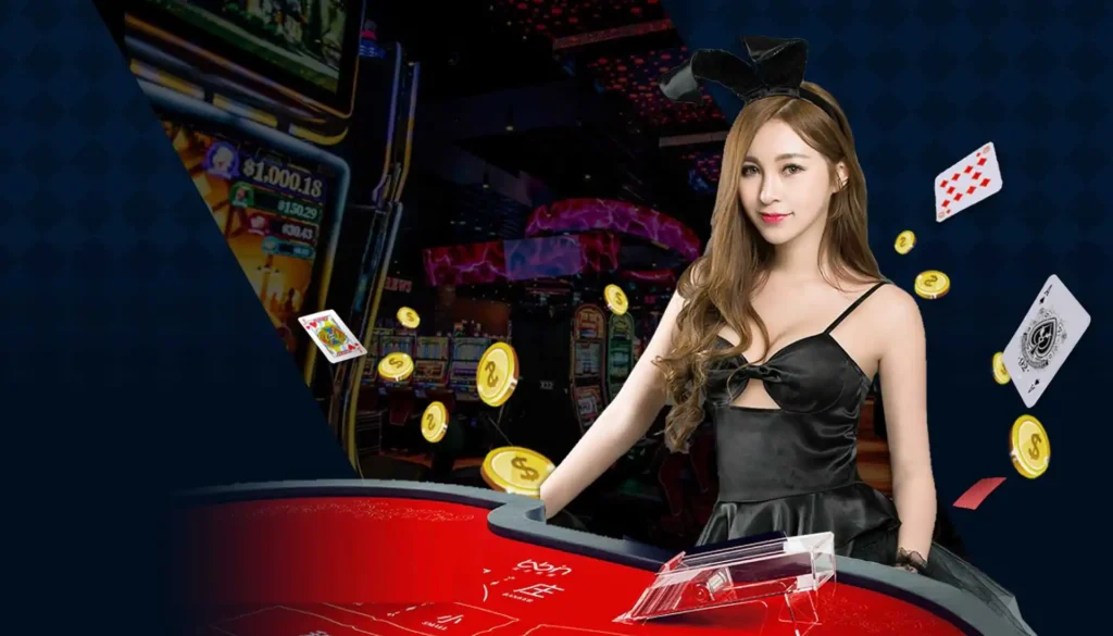 DG真人百家樂技巧